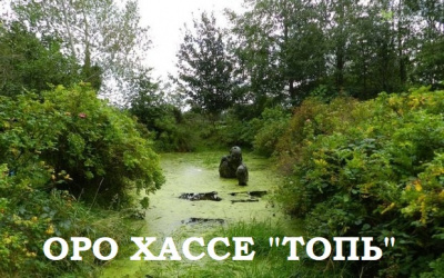 Оро Хассе - Топь