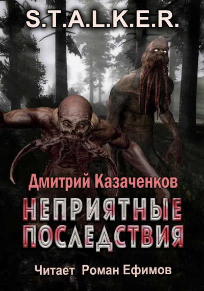 Казаченков Дмитрий - S.T.A.L.K.E.R. Неприятные последствия